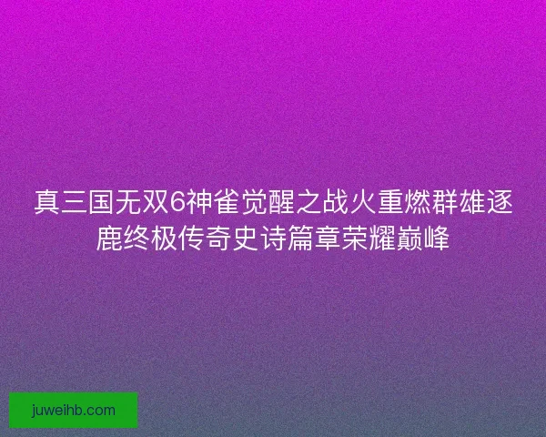 真三国无双6神雀觉醒之战火重燃群雄逐鹿终极传奇史诗篇章荣耀巅峰