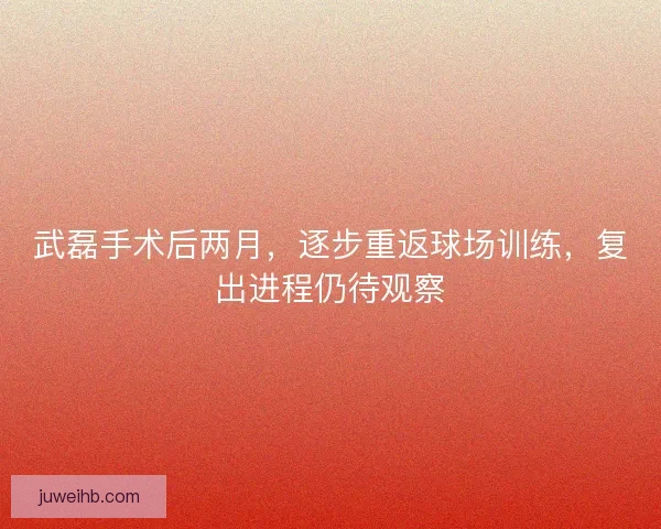 武磊手术后两月,逐步重返球场训练,复出进程仍待观察 武磊手术后两月,逐步重返球场训练,复出进程仍待观察